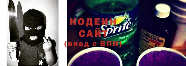 гидра Корсаков